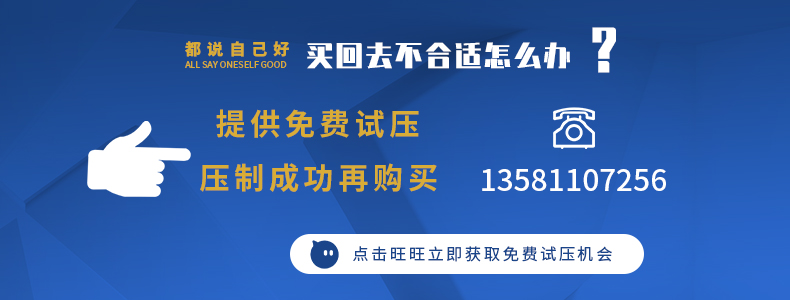 廠家直銷63T單臂油壓機(jī)